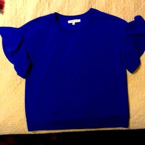 Royal blue shirt sleeve top